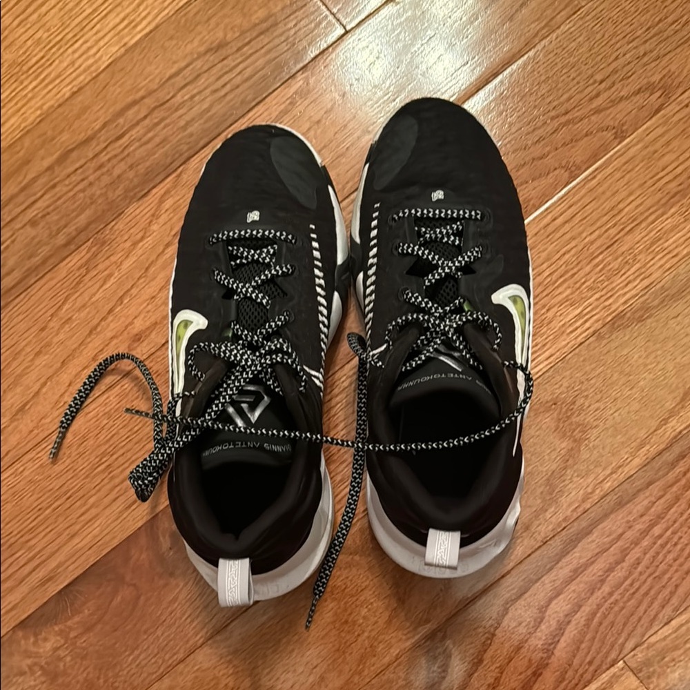 Nike Giannis basketball shoes